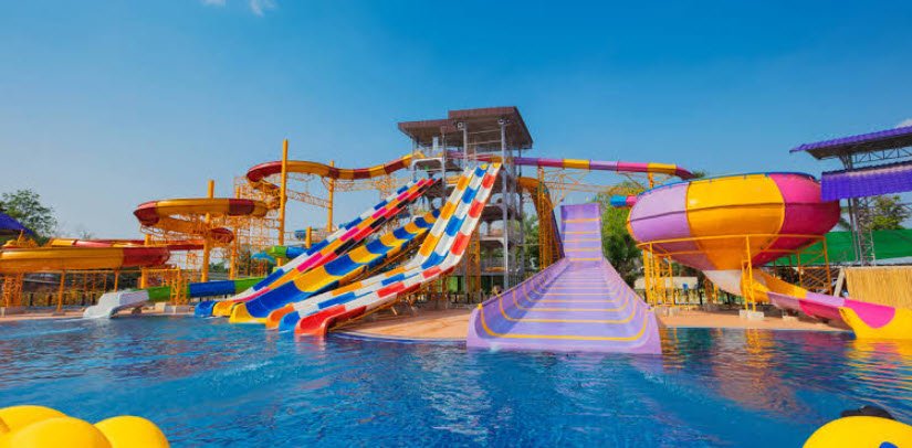 Sky Bird, Bikaner, Rajasthan - Vushii.com